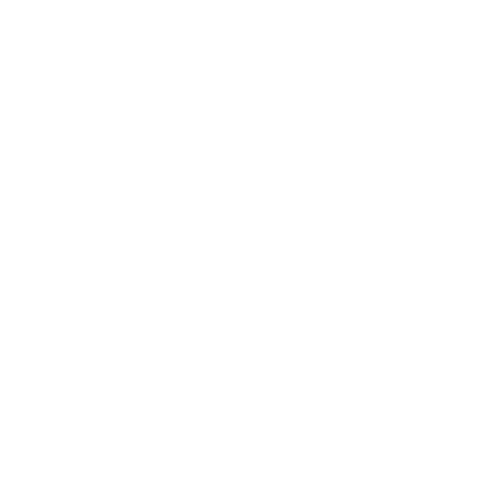 Herz Icon